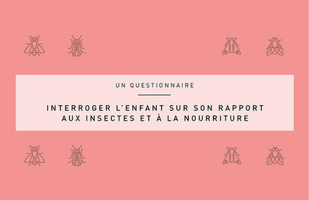 Croqueurs d’insectes : faire manger des insectes aux enfants