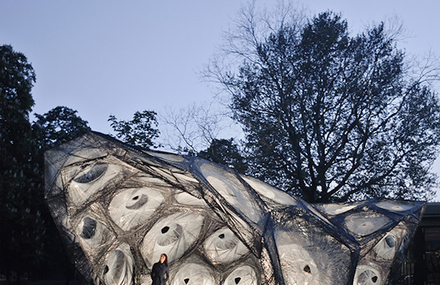 Biomimetic Pavilion in Stuttgart