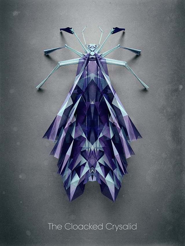 Fictitious Insects Illustrations-14