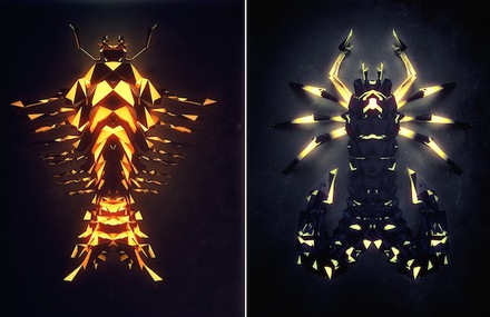 Fictitious Insects Illustrations