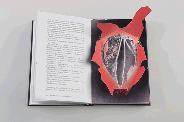Harry Potter Bookdesign and Illustrations13