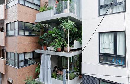 House with Growing Plants
