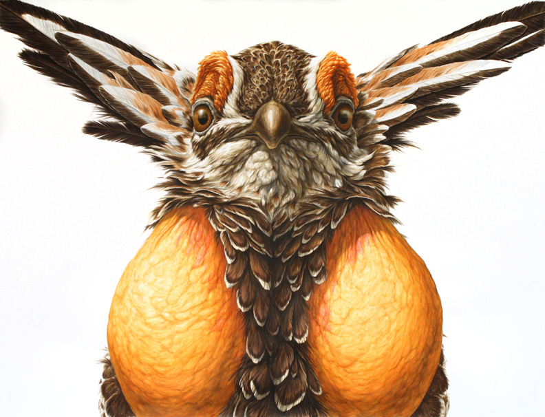 Hyperrealistic Animals Paintings_10