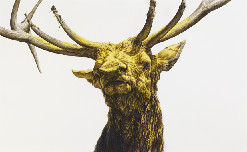 Hyperrealistic Animals Paintings_6