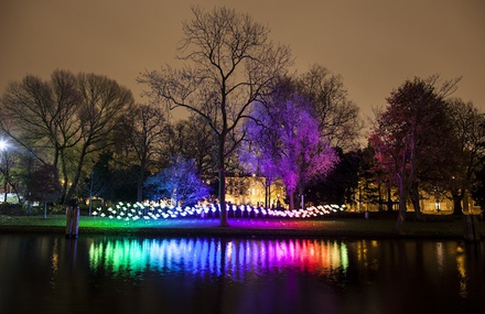 Interactive Butterflies Change Colors