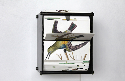 Birds Flip Books