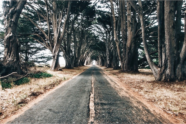Majestic Landscapes Photography-13