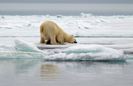 Melting Ice Effects Photography