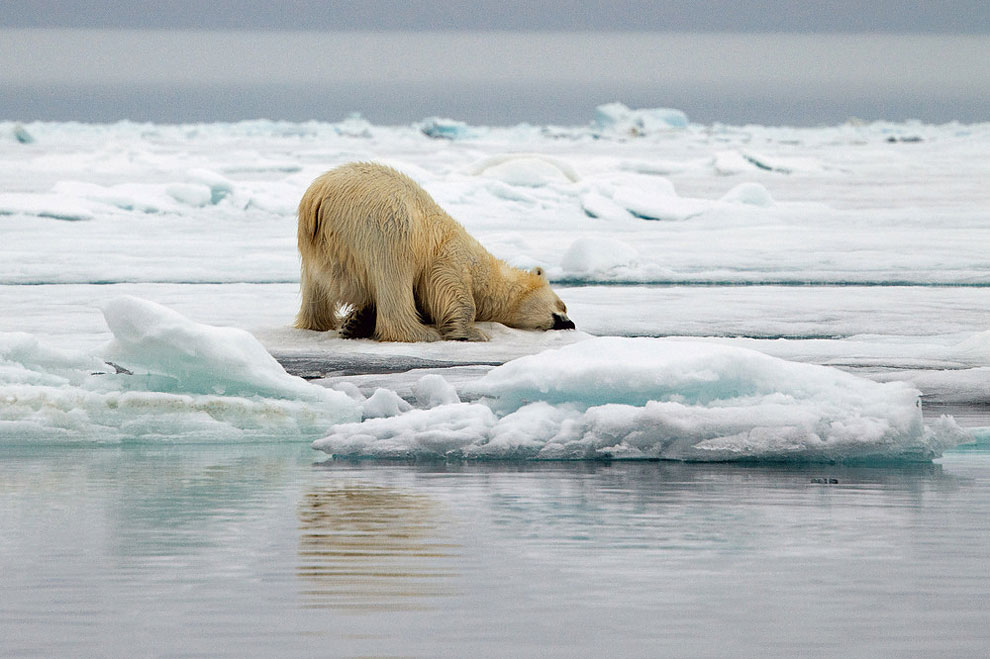 Melting Ice Photography_1