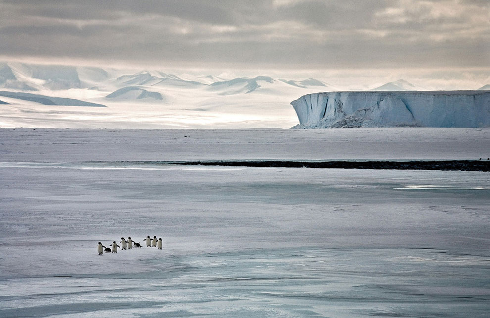 Melting Ice Photography_5