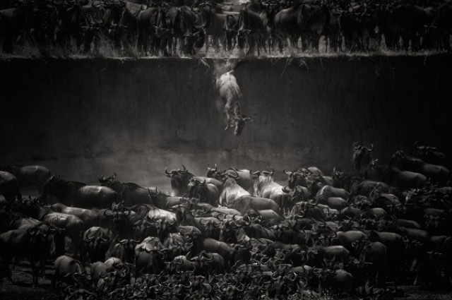 National Geographic Photo Contest 2014 Winners_1