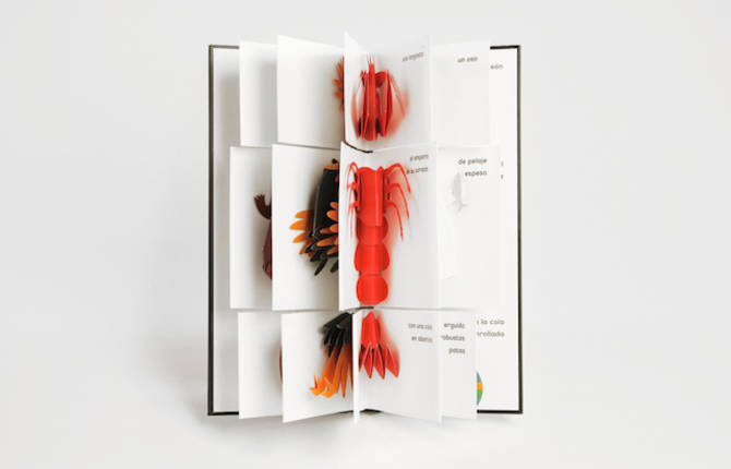 Bestiario Pop Up Book