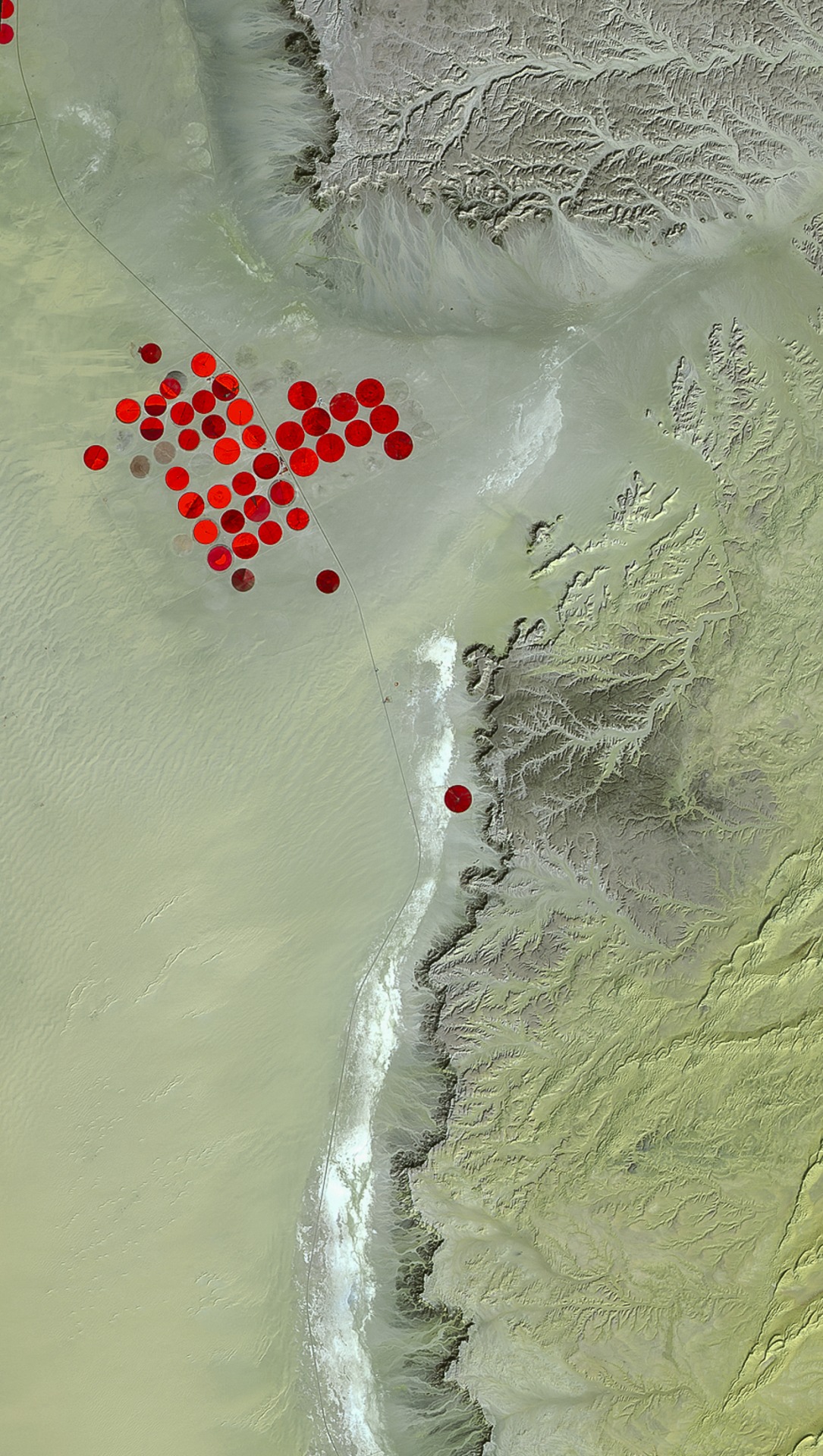 Satellite Imagery and Topographic Maps_7