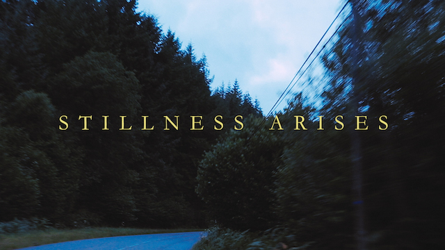 Stillness Arises 12