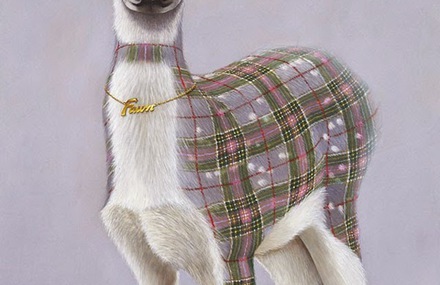 Tartan Animals Paintings