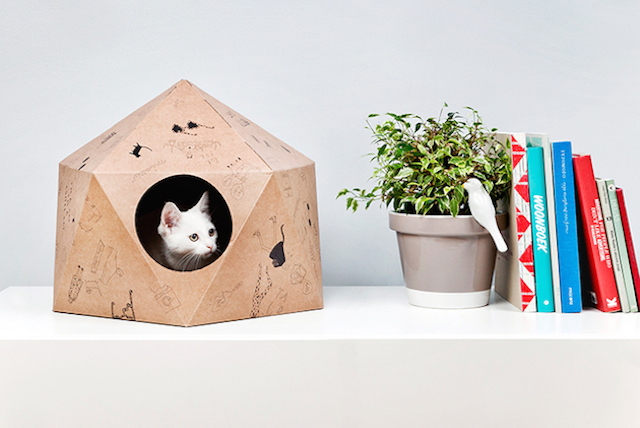 The Cat Box by Delphine Courier-1