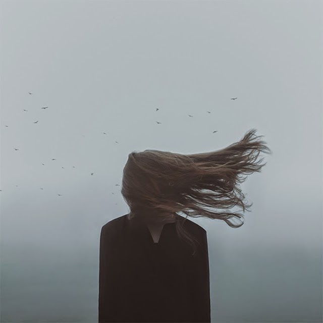 The Photography of Gabriel Isak-1