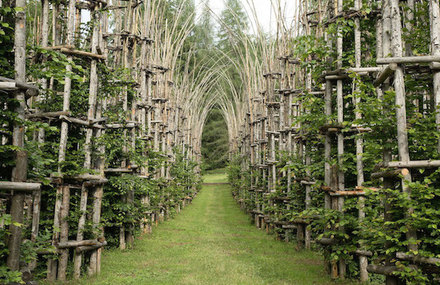 Vegetal Cathedral in Italy