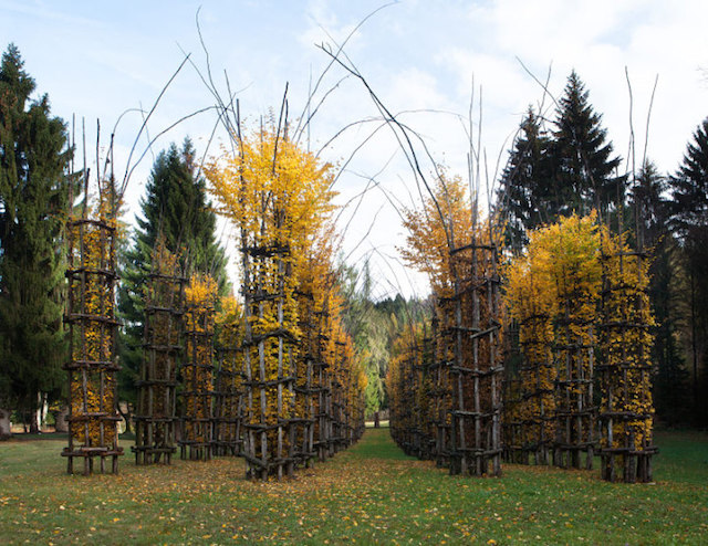 Vegetal Cathedral in Italy-12