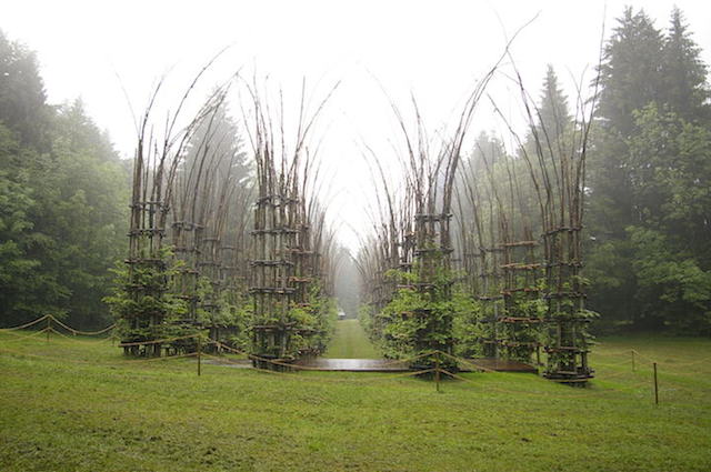 Vegetal Cathedral in Italy-3