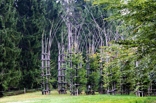 Vegetal Cathedral in Italy-6