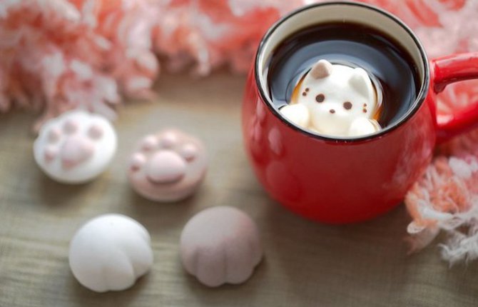 Cat Marshmallows in Hot Chocolate
