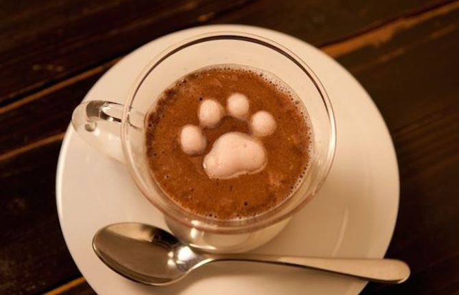 Cat Marshmallows in Hot Chocolate