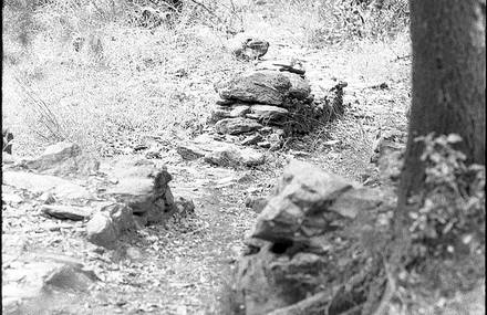 Le Chemin de vie au détour du sentier