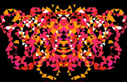 FACETS :: INTERACTIVE