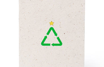 Recycling Christmas: Turning Last Year’s Trees into This Year’s Cards
