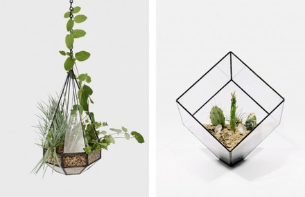 Geometric Glass Terrariums and Lamps