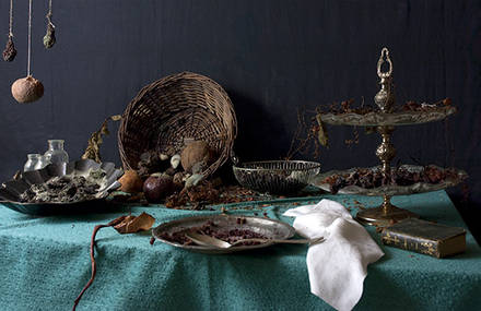STILL LIFE & DEATH with FRUITS and MICE • 148 days timelapse • mute