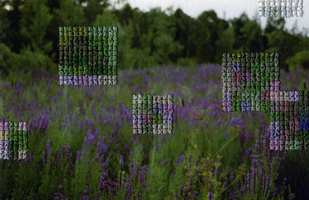 Pixelated Embroidered Photography