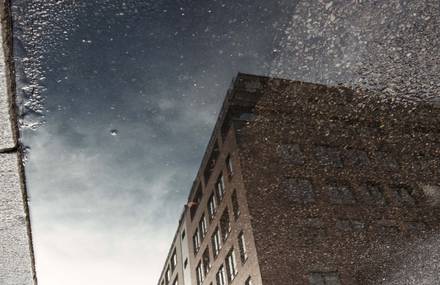 Reflections From Berlin