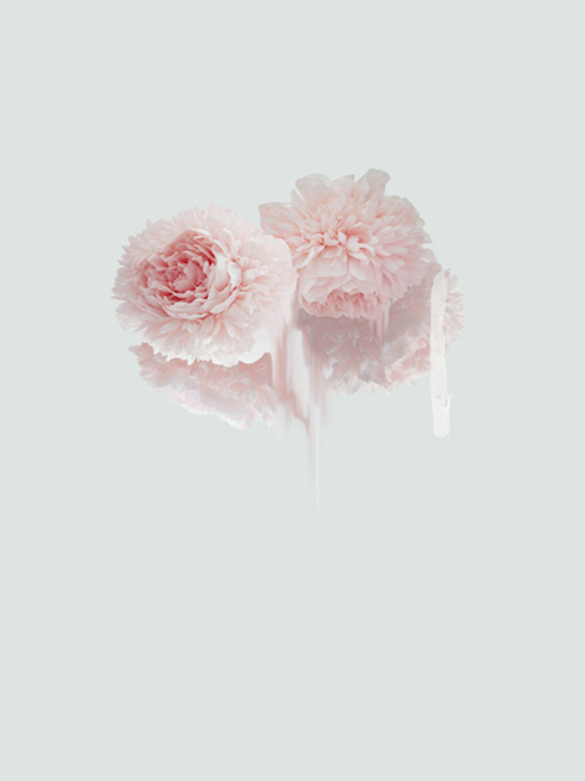simonetruong-10