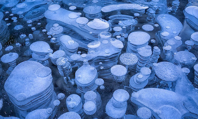 000Bubbles in The Ice of Abraham Lake by Phillips Chip