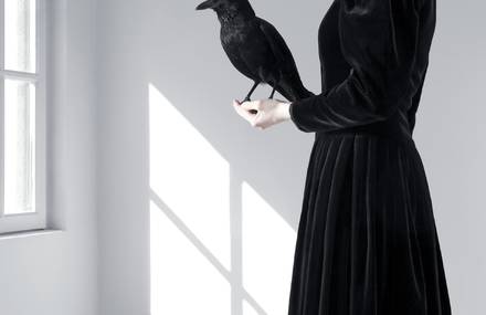 Juliette Bates : Ailes, Plumes et Terre – Histoires Naturelles