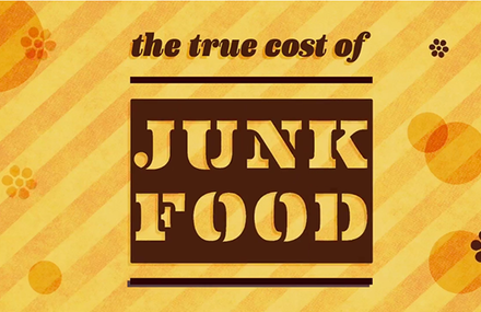 the true cost of junk food