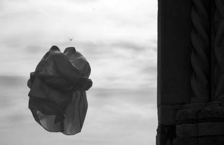 HUMAN NEEDS by Bruno Cerasi