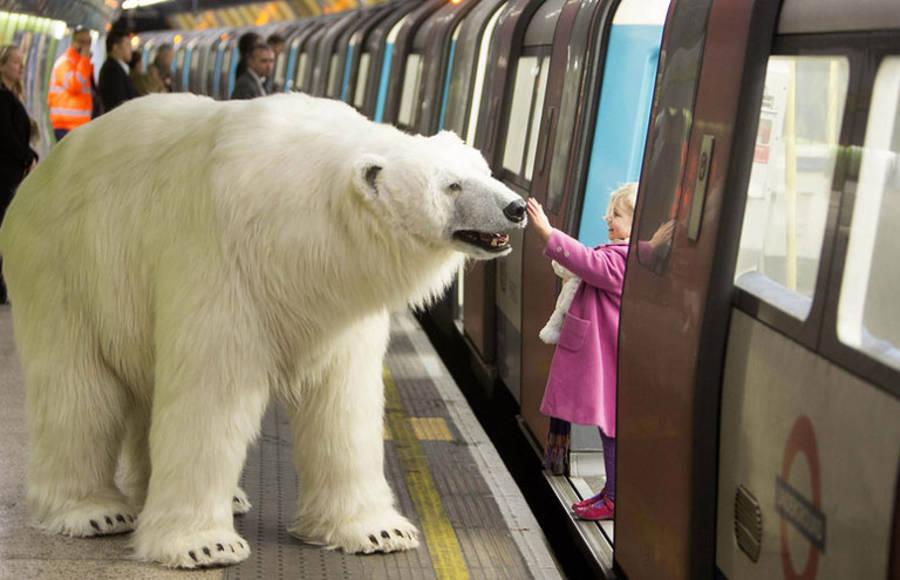 Animatronic Polar Bear in London Underground