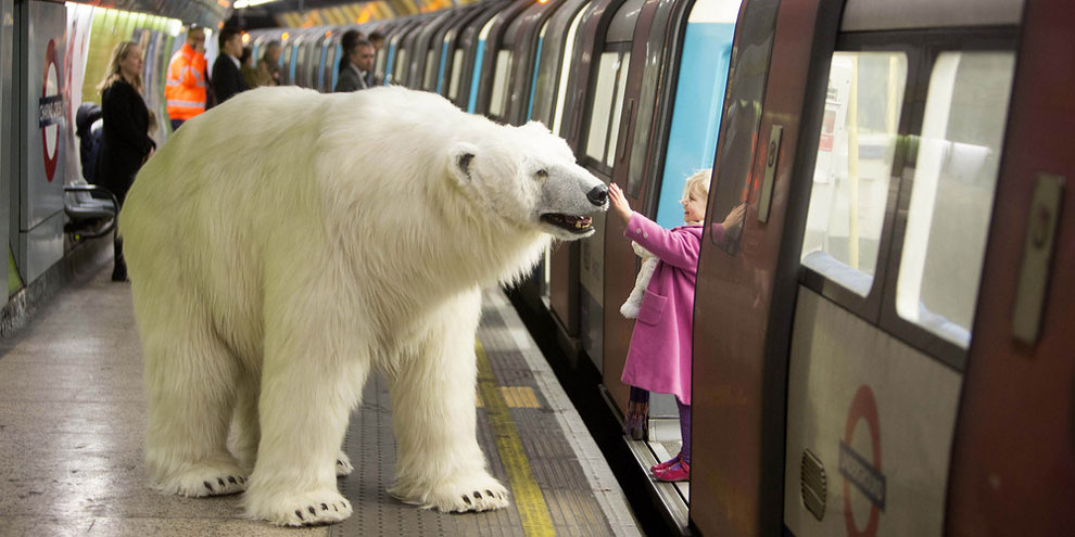 Animatronic Polar Bear in London Underground_0