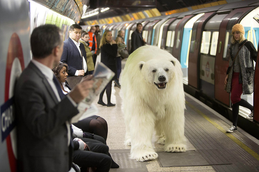 Animatronic Polar Bear in London Underground_1