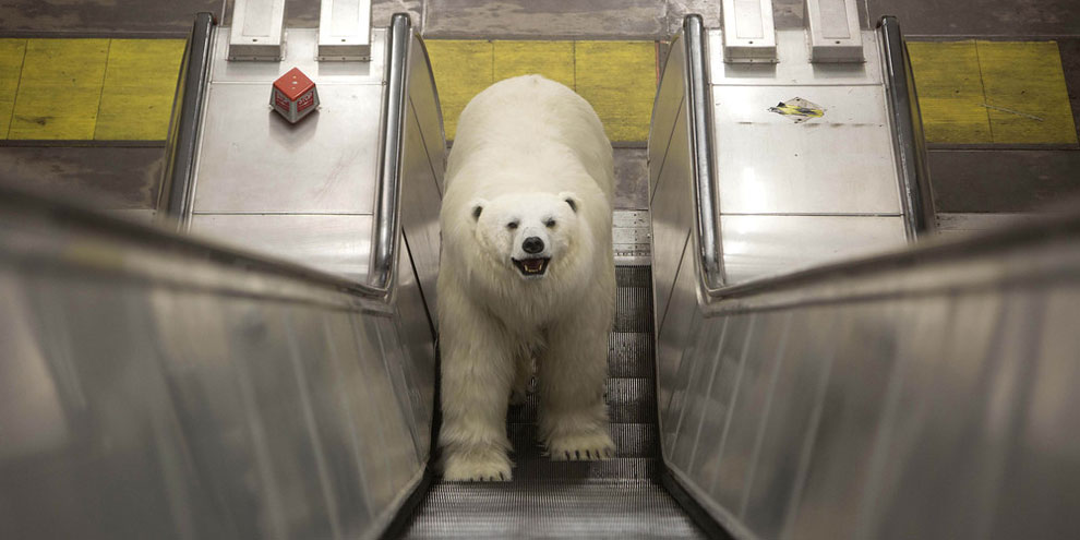 Animatronic Polar Bear in London Underground_2