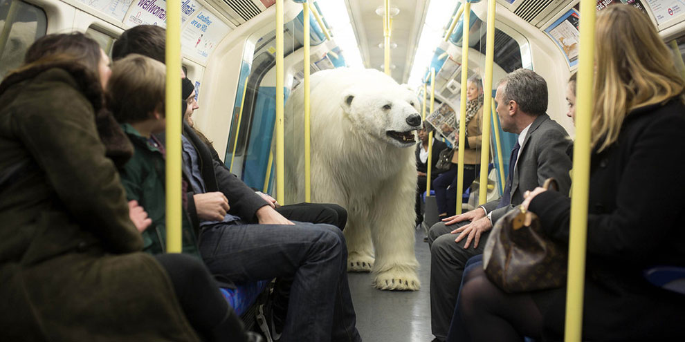 Animatronic Polar Bear in London Underground_4