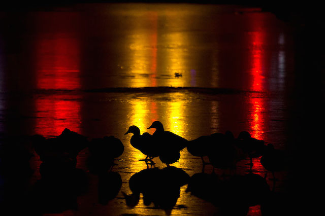 Back Light Silhouettes Photography-25