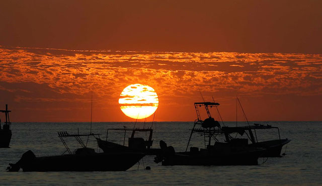 Back Light Silhouettes Photography-7