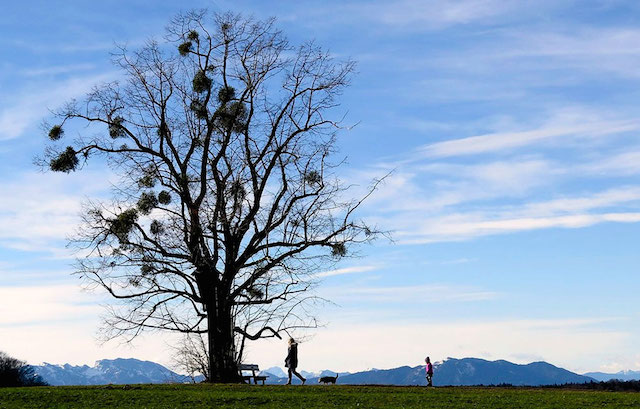 Back Light Silhouettes Photography-9