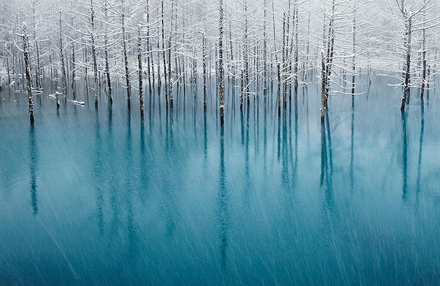 Blue Pond in Japan by Kent Shiraishi