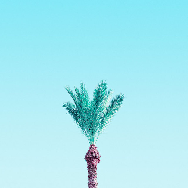 Candy-Colored Minimalism Photography-11