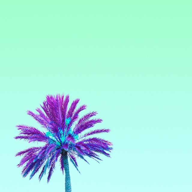 Candy-Colored Minimalism Photography-18